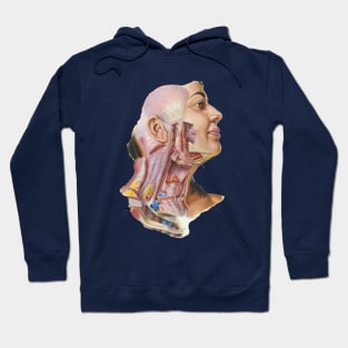 Frank Netter Atlas of Human Anatomy Cervical Fascia Hoodie